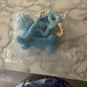 Blue Dog Chew Toy Set